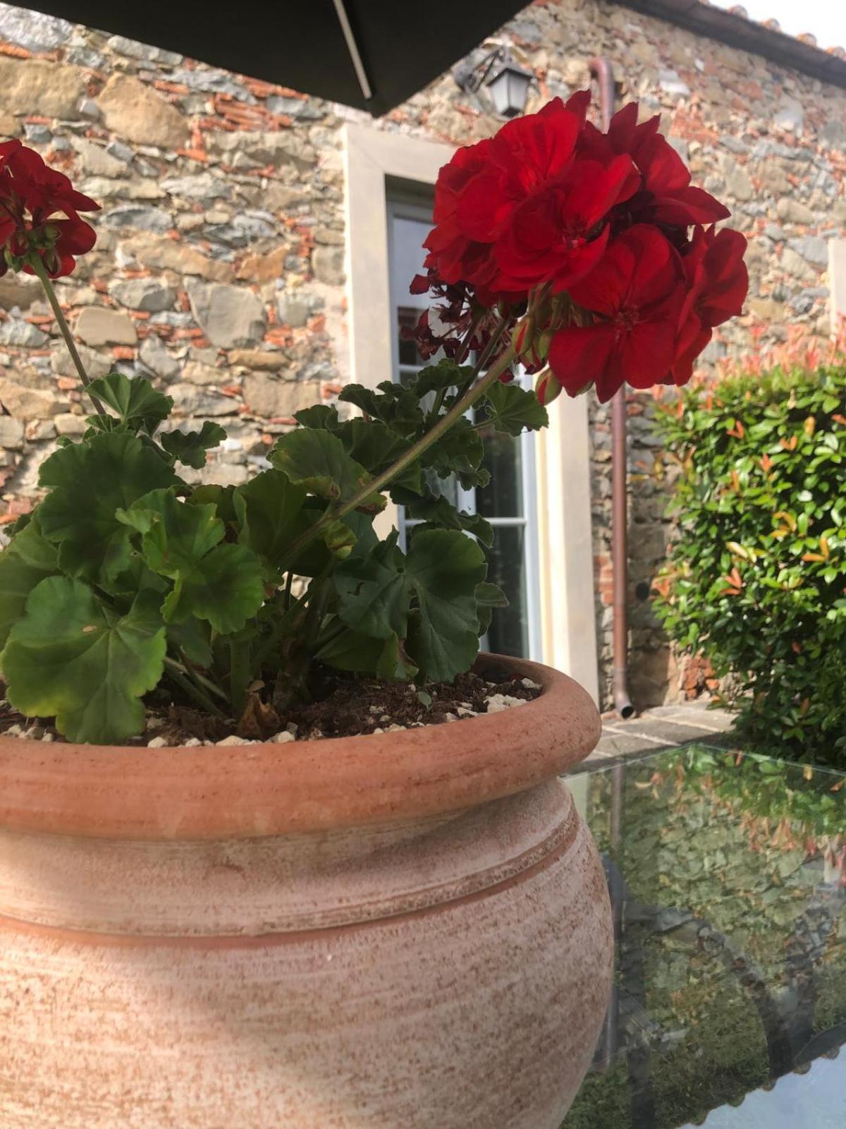Tenuta Guinigi Antico Borgo Di Matraia - Exclusive Holidays Apartments & Pool Lucca Eksteriør bilde